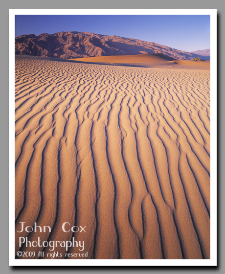 Sand ripples march the desert of Death Valley National Park.