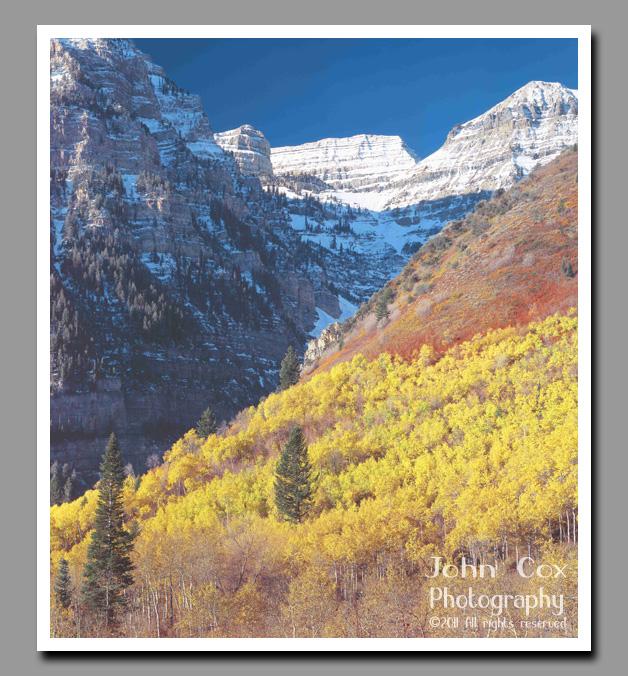 Bright fall colors light up the hillsides of the Alpine Loop from Aspen Grove in the Uintah National Forest, Utah.