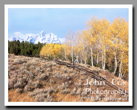 Sagebrush and yellow aspens frame the Grand Tetons, Grand Teton National Park, Wyoming.