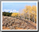 Sagebrush and yellow aspens frame the Grand Tetons, Grand Teton National Park, Wyoming.