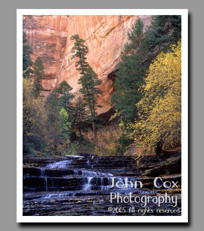 The Left Fork of North Creek tumbles down a series of shelves framed by fall colors and the pink canyon walls of Zion National Park, Utah.
