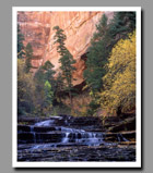 The Left Fork of North Creek tumbles down a series of shelves framed by fall colors and the pink canyon walls of Zion National Park, Utah.