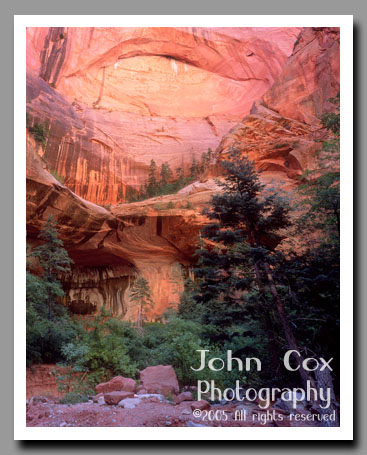 The pink walls of Double Arch Alcove stand brilliantly over Kolob Canyon in Zion National Park in Utah.