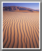 Sand ripples march the desert of Death Valley National Park.