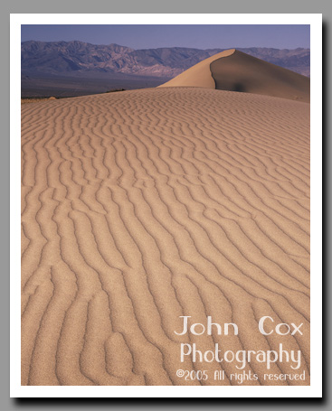 The morning light casts a soft light on the sandy waves of the Mesquite Flat Dunes in Death Valley National Park, California.