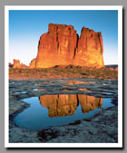 The Sandstone fin of the Organ reflects in a pool left by recent rain showers in Arches National Park, Utah.