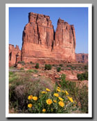 The Organ, Arches National Park