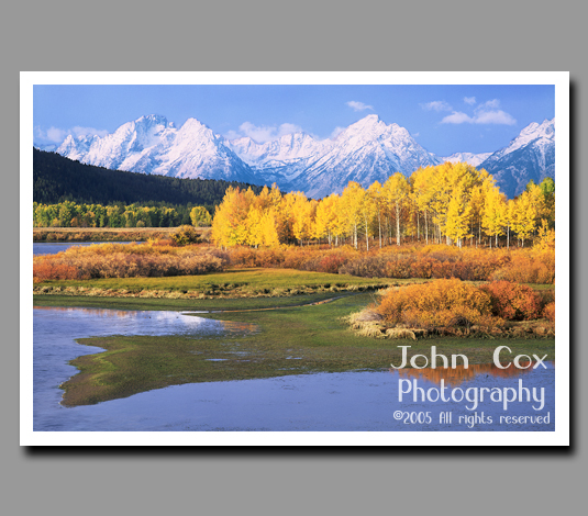 Fall colors shine brilliantly in front of the snow-capped peaks of the Grand Tetons in Grand Canyon National Park, Wyoming.