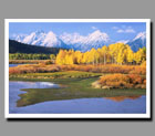 Fall colors shine brilliantly in front of the snow-capped peaks of the Grand Tetons in Grand Canyon National Park, Wyoming.