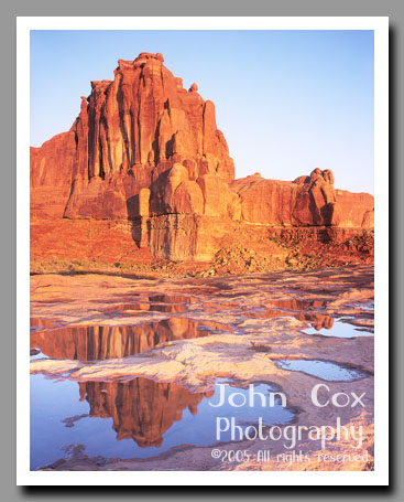 Park Avenue casts a golden reflection in pools created by recent rains