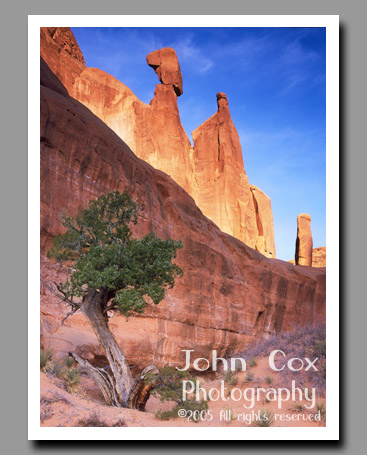 Queen Nefertiti stands over the pink cliffs of Arches National Park in Utah.