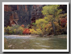 Fall Colors at Temple of Sinawava, Zion National Park