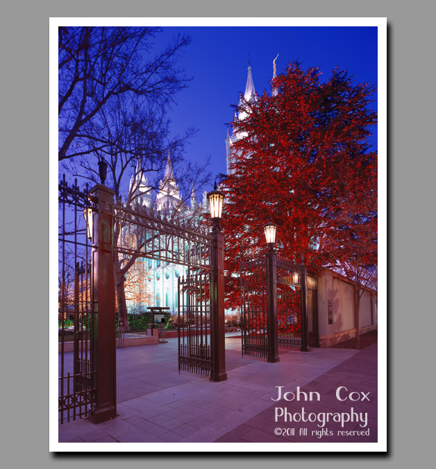 The brightly lit trees of the Salt Lake Temple grounds beckon visitors to enter and celebrate the Christmas season.