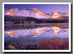 Sofa Mountain reflects brightly in an alpine lake in Waterton National Park, Alberta, Canada.