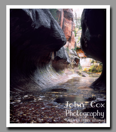 The Left Fork of North Creek flows through the subway-like narrows of the Subway in Zion National Park, Utah.