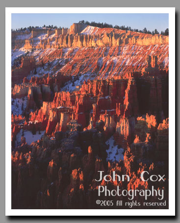 Hoodoos glow in the light of a rising sun below Sunrise Point in Bryce Canyon National Park in Utah.