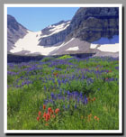 An vast prarie leads to the base of the snow-capped Grand Tetons in Grand Teton National Park, Wyoming.