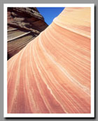 Sandstone Striations on The Wave, Coyotte Buttes, UT - AZ
