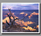 Yaki Point, Grand Canyon